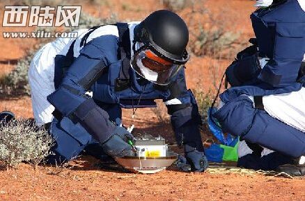 1452087735359186.jpg 11110.jpg