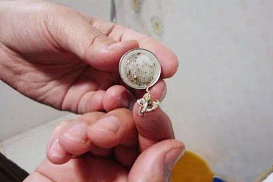 1459149509125954.jpg 1100051_550-367-4.jpg