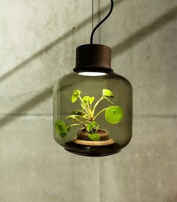 1460077288549300.jpg 36.jpg