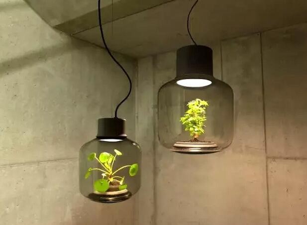 1460077302136750.jpg 37.jpg