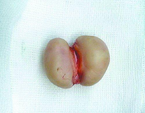 1464848646180604.jpg 16313663_550x550_0.jpg