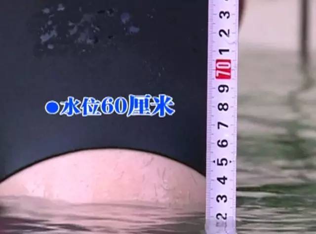 1467886807564275.jpg 640 (13).jpg