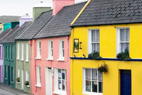 1469518655115996.jpg 1353053_zhuan-03.jpg