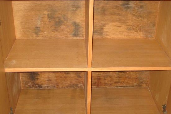 1469520334693414.jpg 1019172_20.jpg