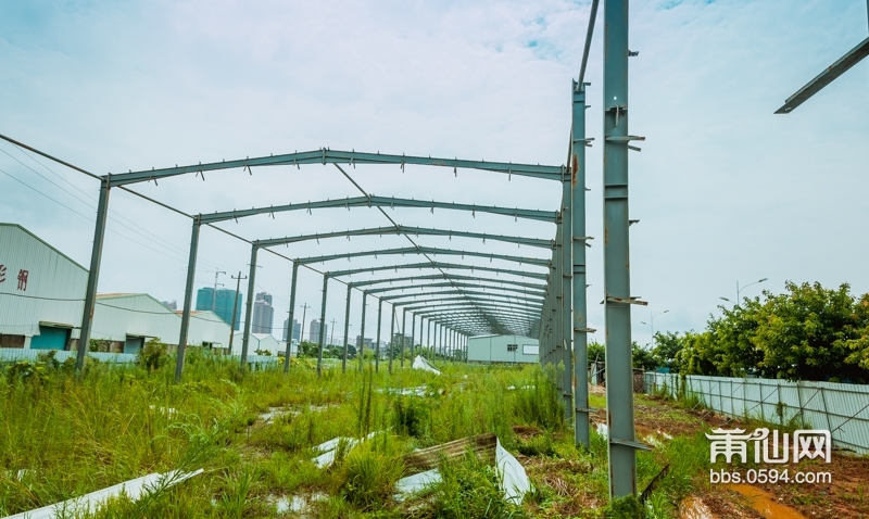 1470014396123922.jpg 083213mf22zs92f6lm24xl.jpg