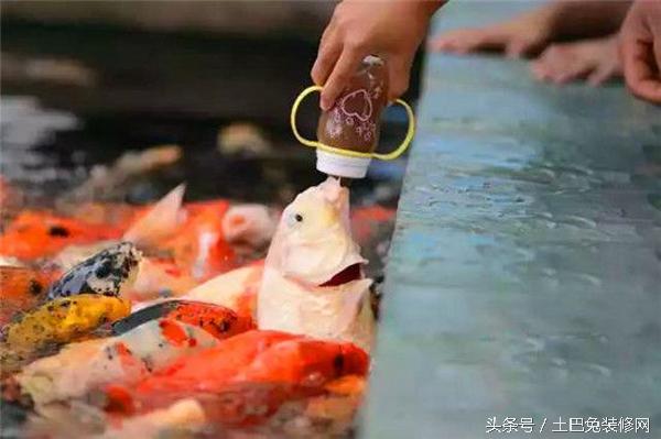 1470129009484064.jpg b0e0003d0d787d82855.jpg