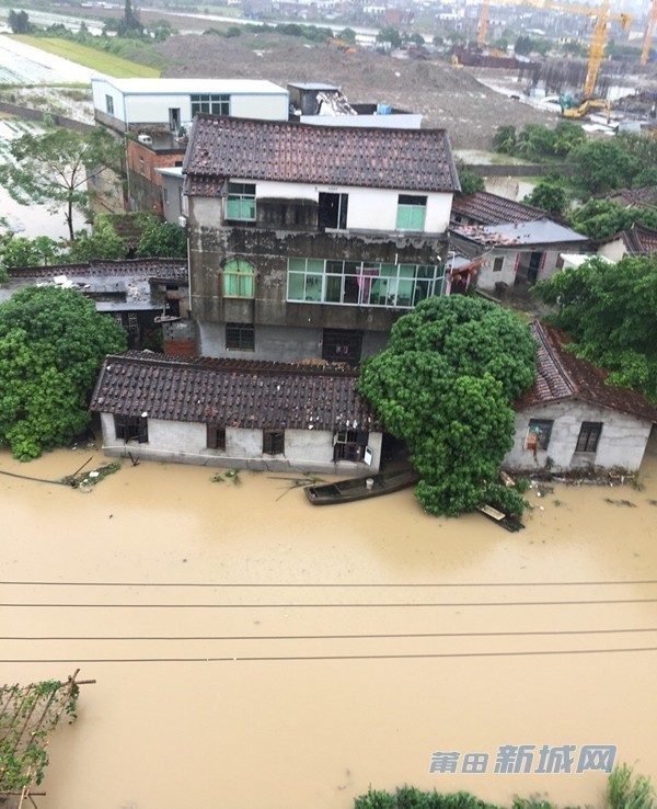 1475047525267958.jpg 0 (6).jpg