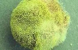 1475572391590740.jpg 640.jpg