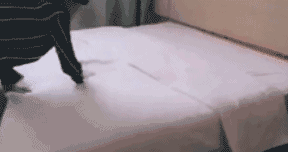 1475719156405359.gif 0.gif