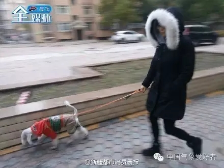 1477552888828447.jpg 640.webp (1).jpg