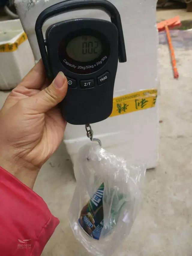 1484704836132912.jpg 3.jpg