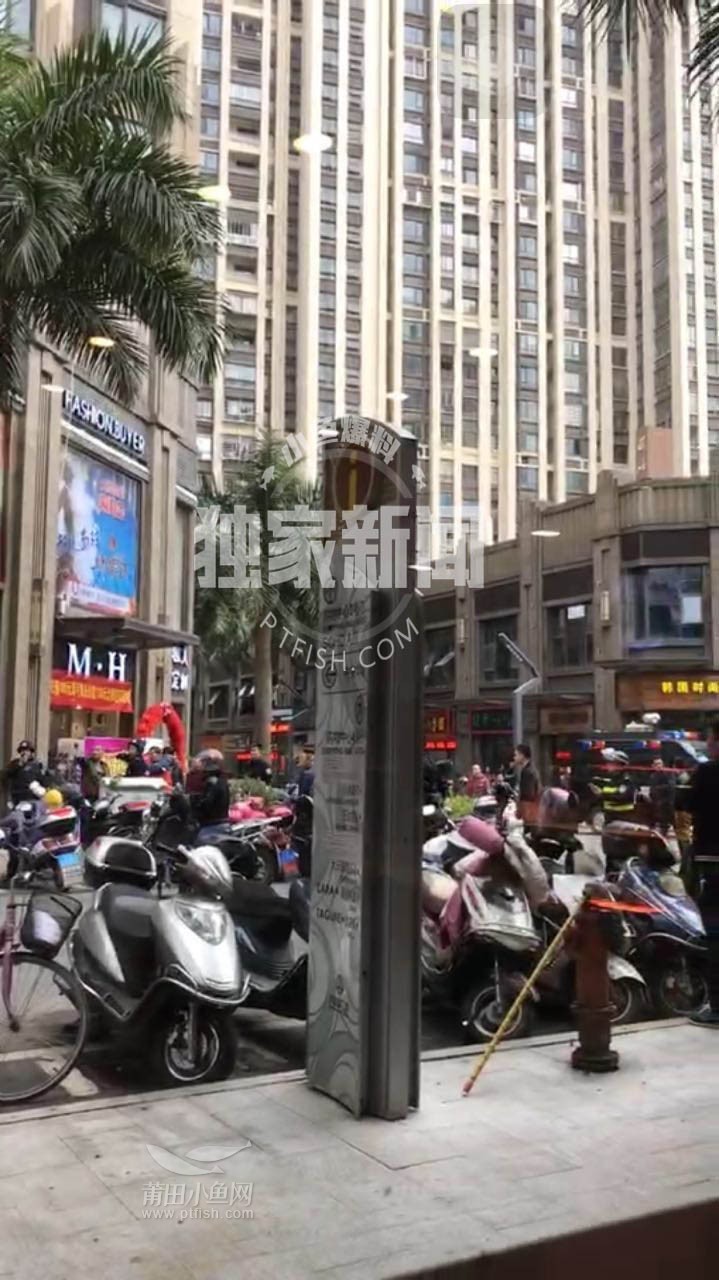 1484788288115058.jpg 11.jpg