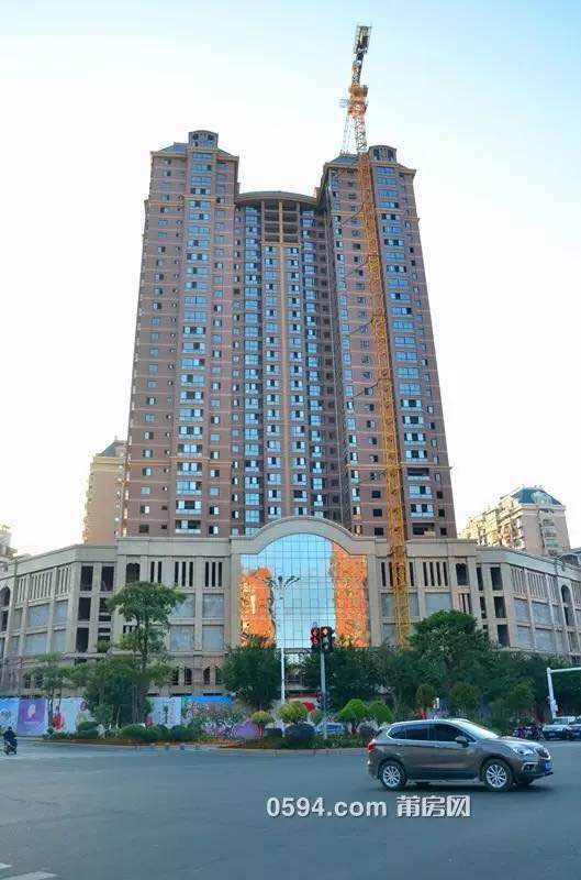 1486600999344856.jpg 14.jpg