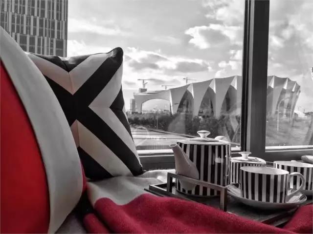 1487127397576841.jpg 15.jpg