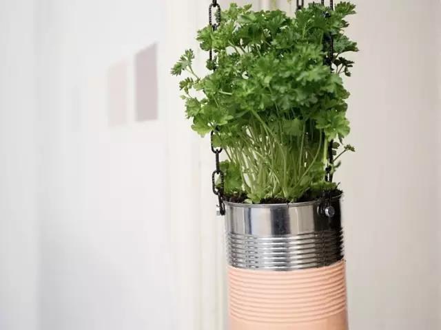 1487210004260299.jpg 14.jpg