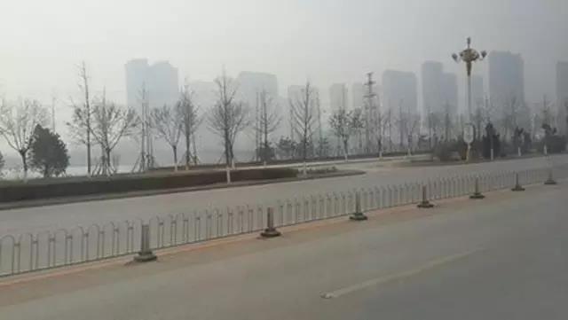 1487376951584543.jpg 1.jpg