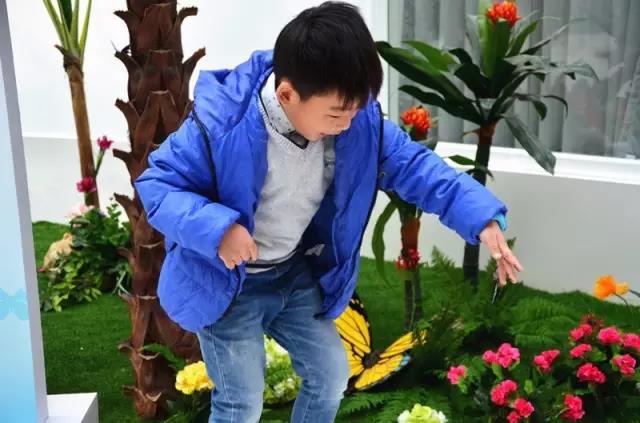 1487464408462720.jpg 17.jpg