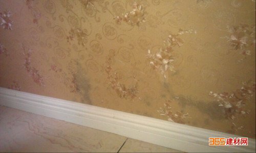 1487833006125424.jpg 6.jpg