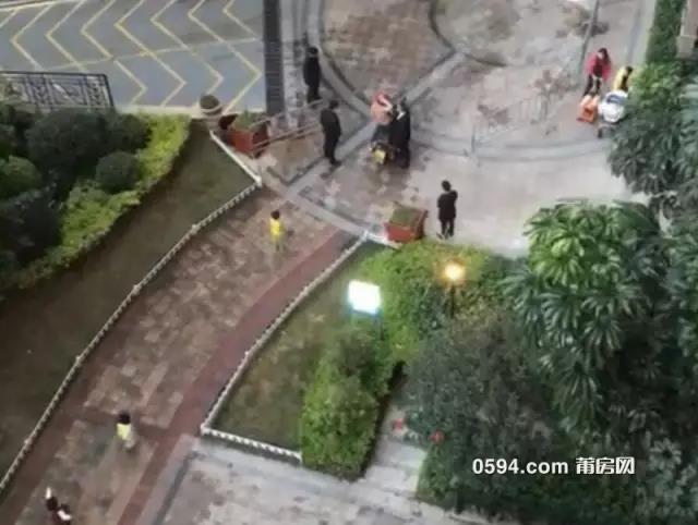 1488501627299286.jpg 5.jpg