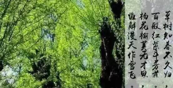 1489969203825693.jpg 1.jpg