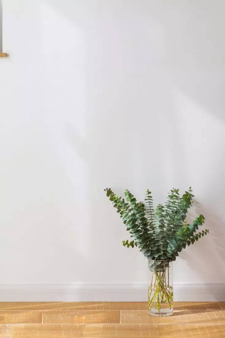 1490921947339434.jpg 13.jpg