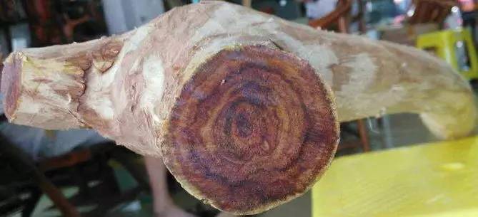 1492475045605328.jpg 4.jpg