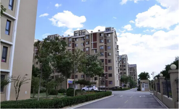 1494550424106615.jpg 2.jpg