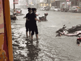 1495672903980479.gif 3.gif