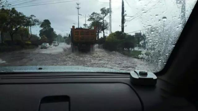 1495672913141402.jpg 2.jpg