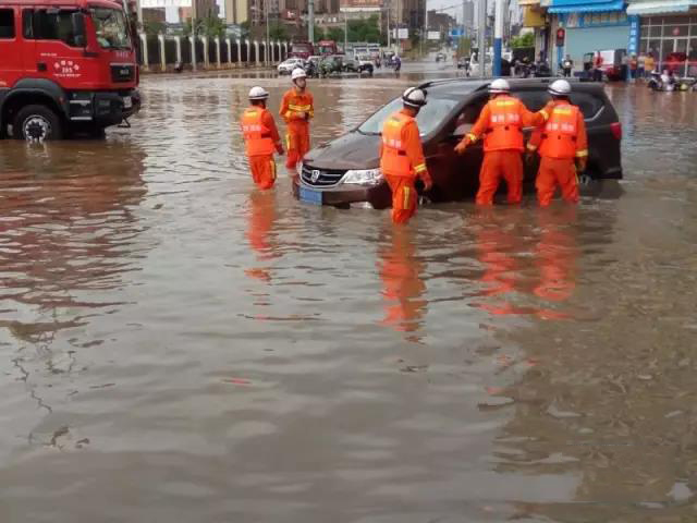 1495672919245281.jpg 3.jpg