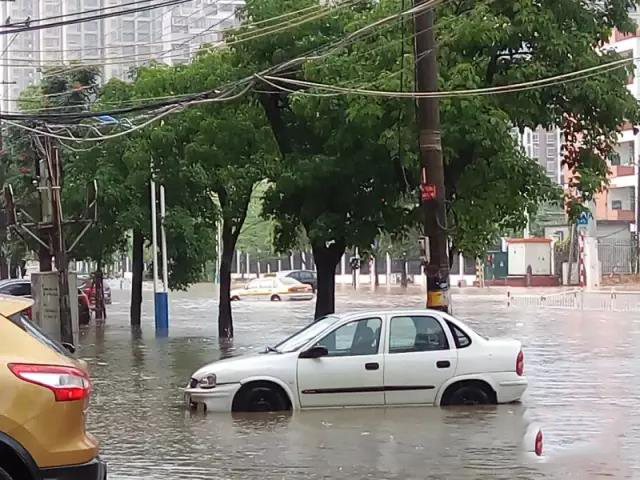 1495672929910896.jpg 6.jpg