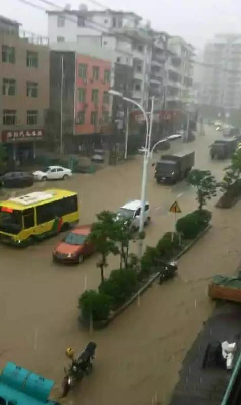 1495672941116616.jpg 8.jpg