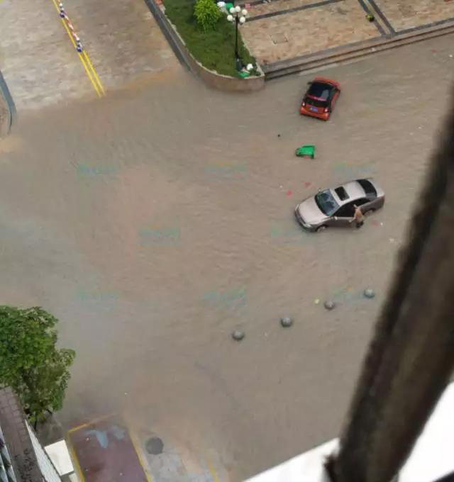 1495672959432082.jpg 12.jpg