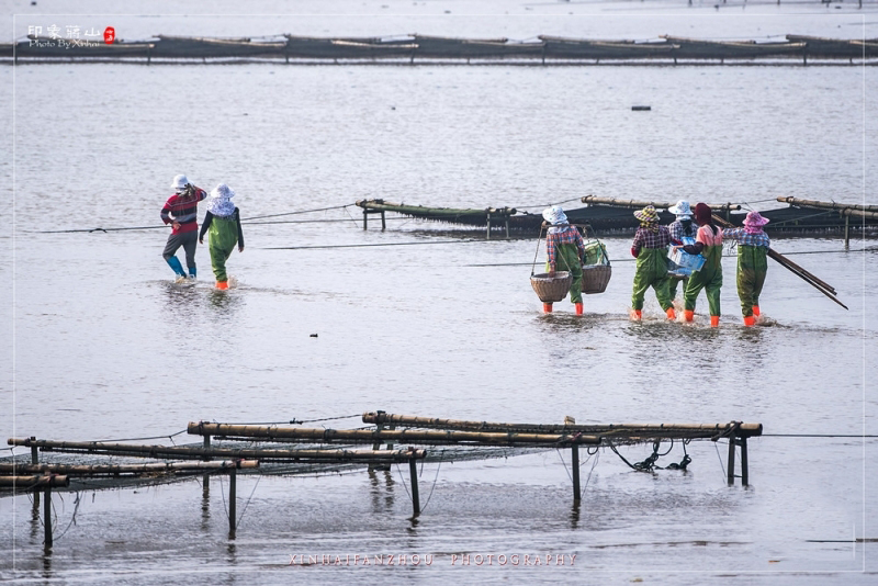 1495673875135528.jpg 2.jpg