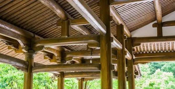 1495845537114739.jpg 5.jpg