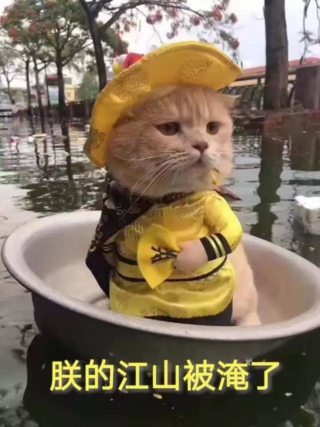 1496278585118191.jpg 7.jpg