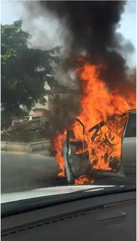 1498612115109657.jpg 1.jpg