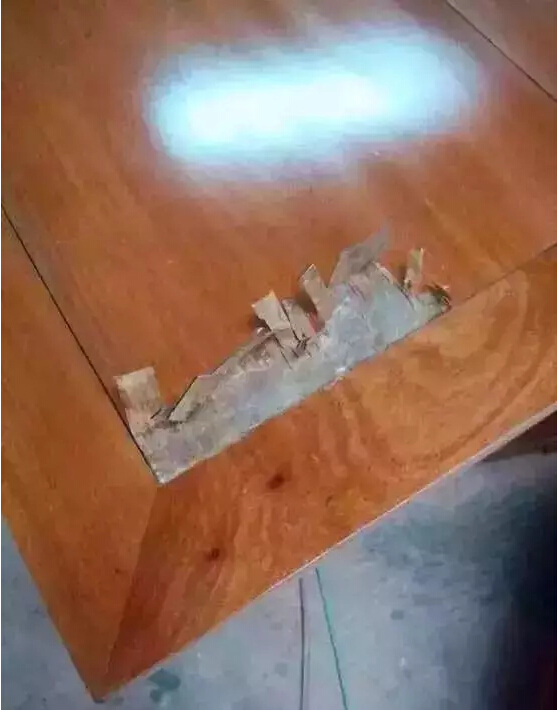 1498782681259911.jpg 16.jpg