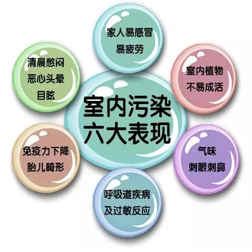 1498784054901300.jpg 2.jpg