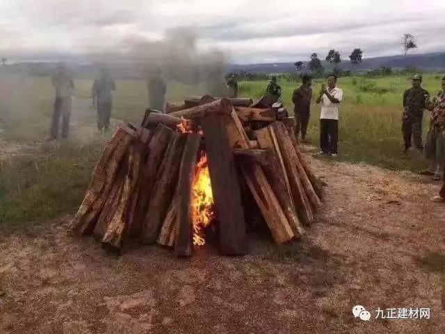 1499129287168641.jpg 2.jpg