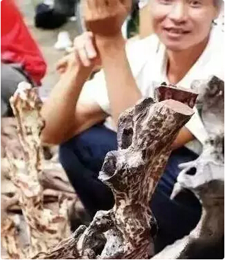 1499993271433200.jpg 4.jpg